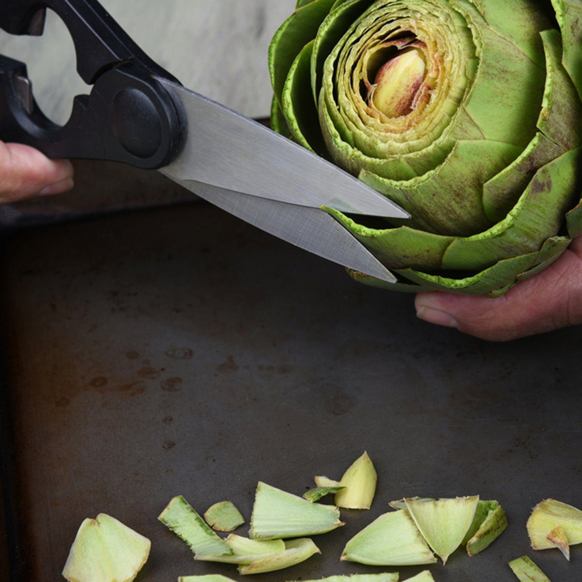 Closeup of a cook using kitchen shears to prepare an artichoke for cooking.