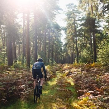 Cyclist on forest path