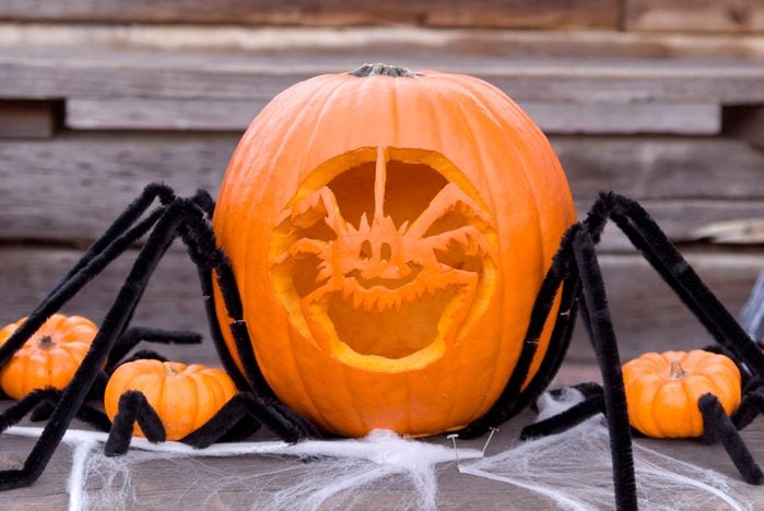 Halloween Spider Pumpkin: Fresh Carved Jack-o-Lantern Decoration; House Front Porch