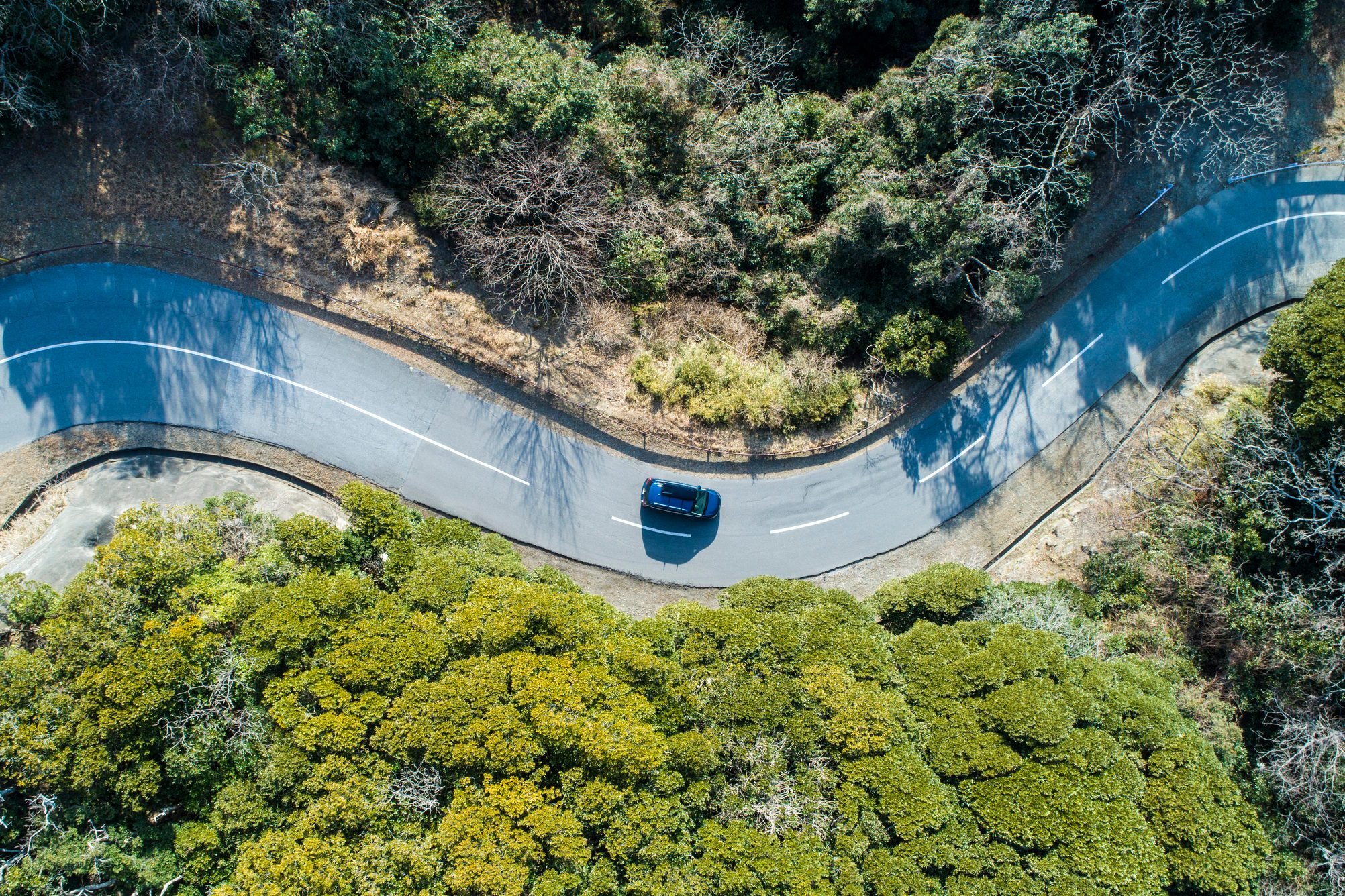 Aerial view of road amidst trees in forest.