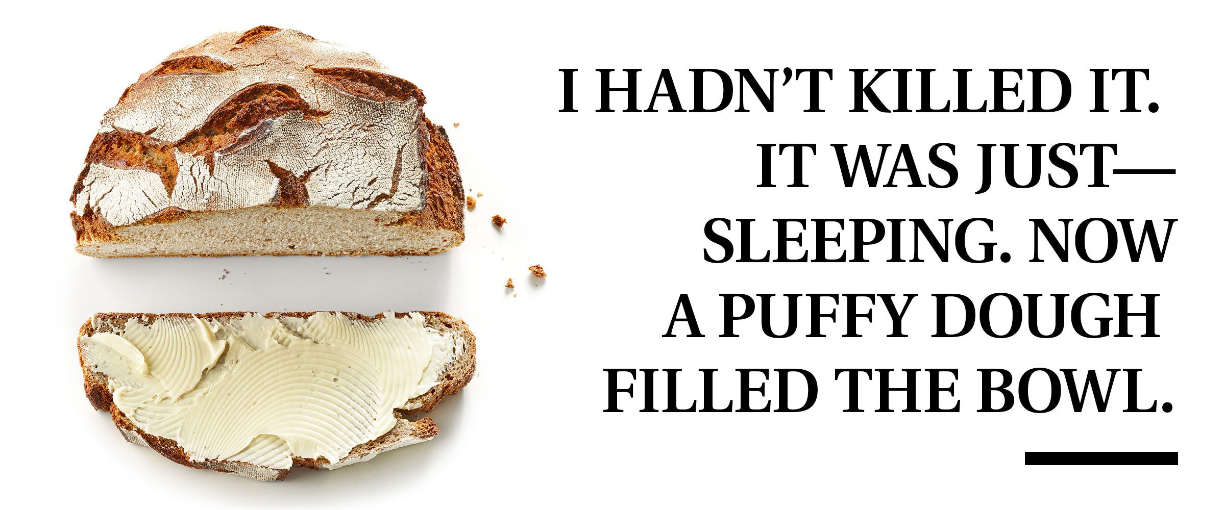 bread with pull quote text: "I hadn't killed it. It was just-sleeping. Now a puffy dough filled the bowl."