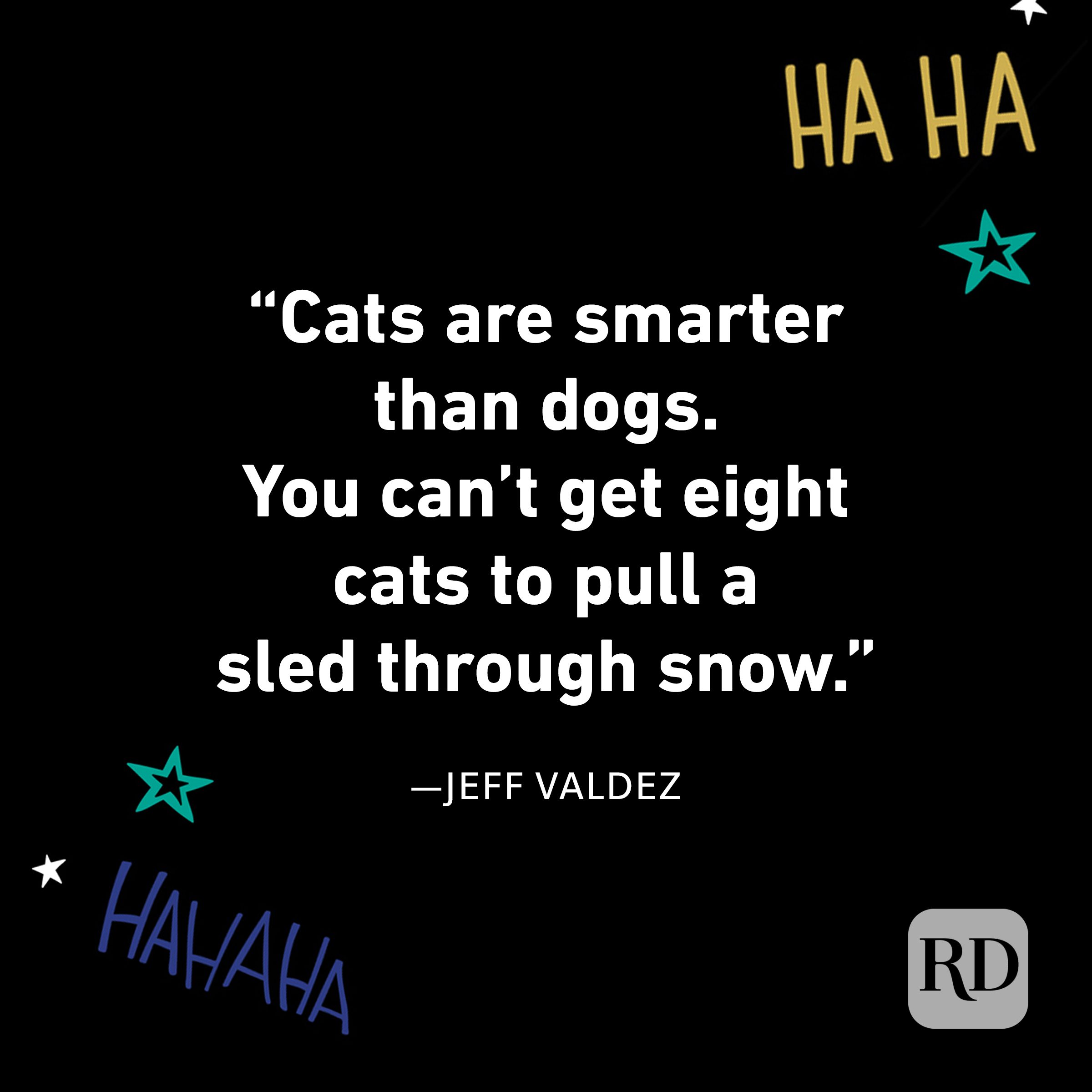 Jeff Valdez 100 Funniest Quotes