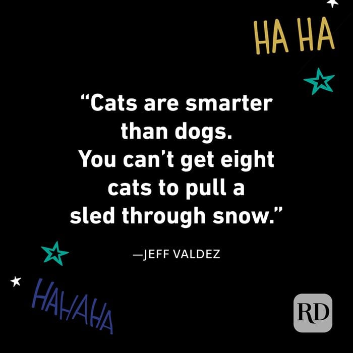 Jeff Valdez 100 Funniest Quotes
