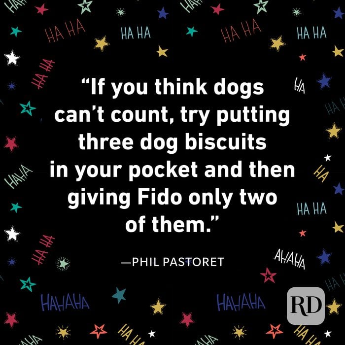 Phil Pastoret 100 Funniest Quotes