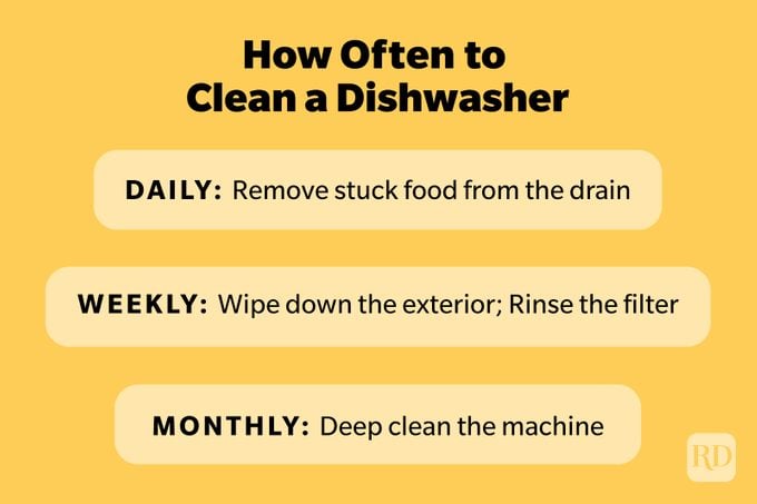 Dishwasher Cleaning Infographic