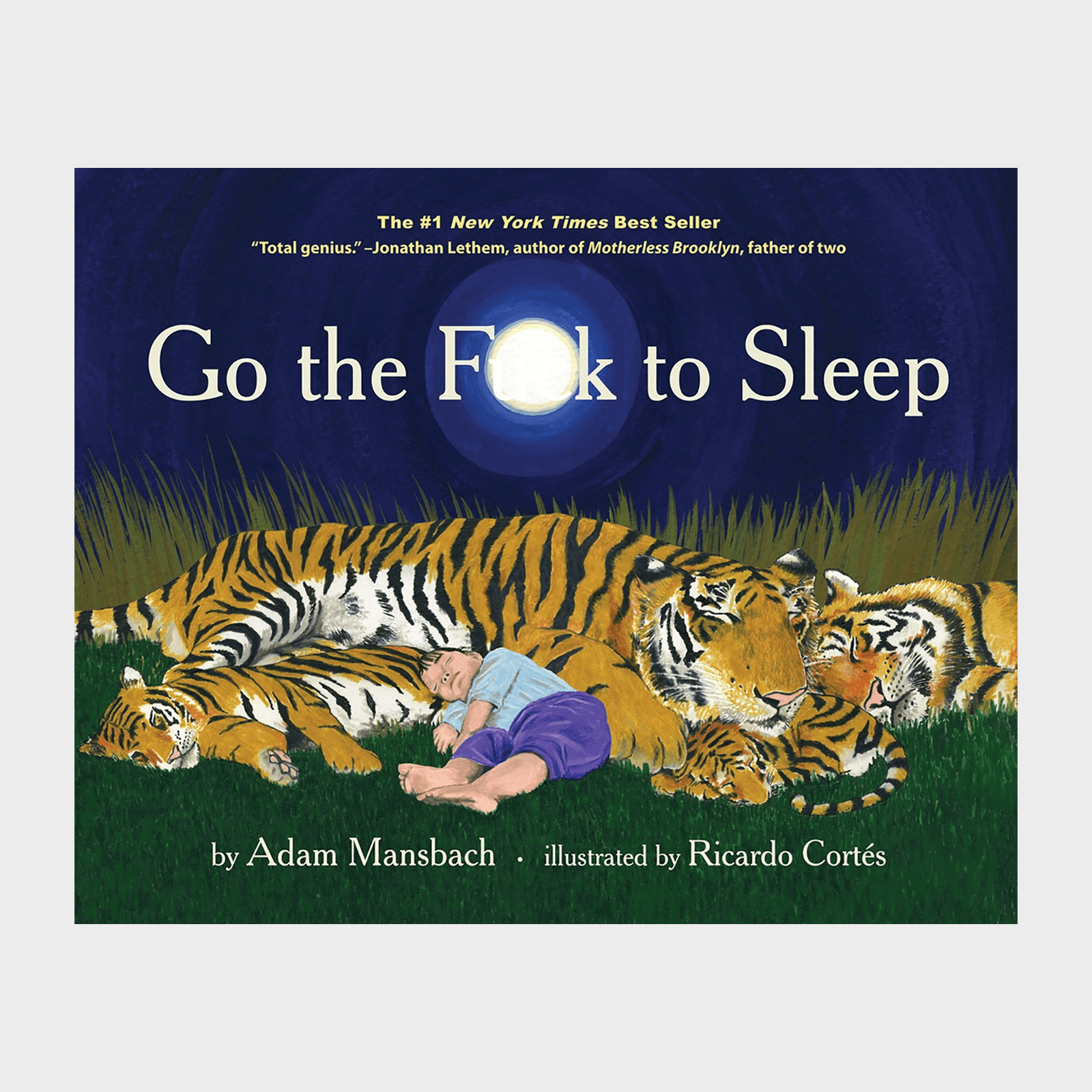 Go The Fuck To Sleep Ecomm Via Amazon.com