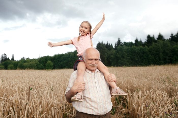 Portrait of happy little girl on grandfather's shoulders in an oat field