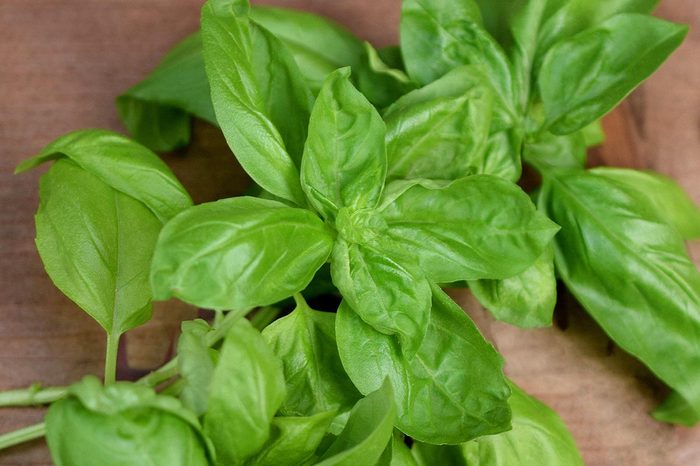 Basil Leaves On The Plate