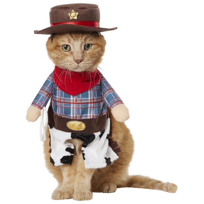 Cowboy Cat Costume