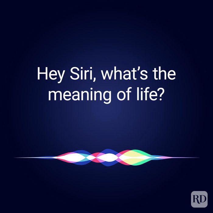 Funny Things To Ask Siri Ft Sq