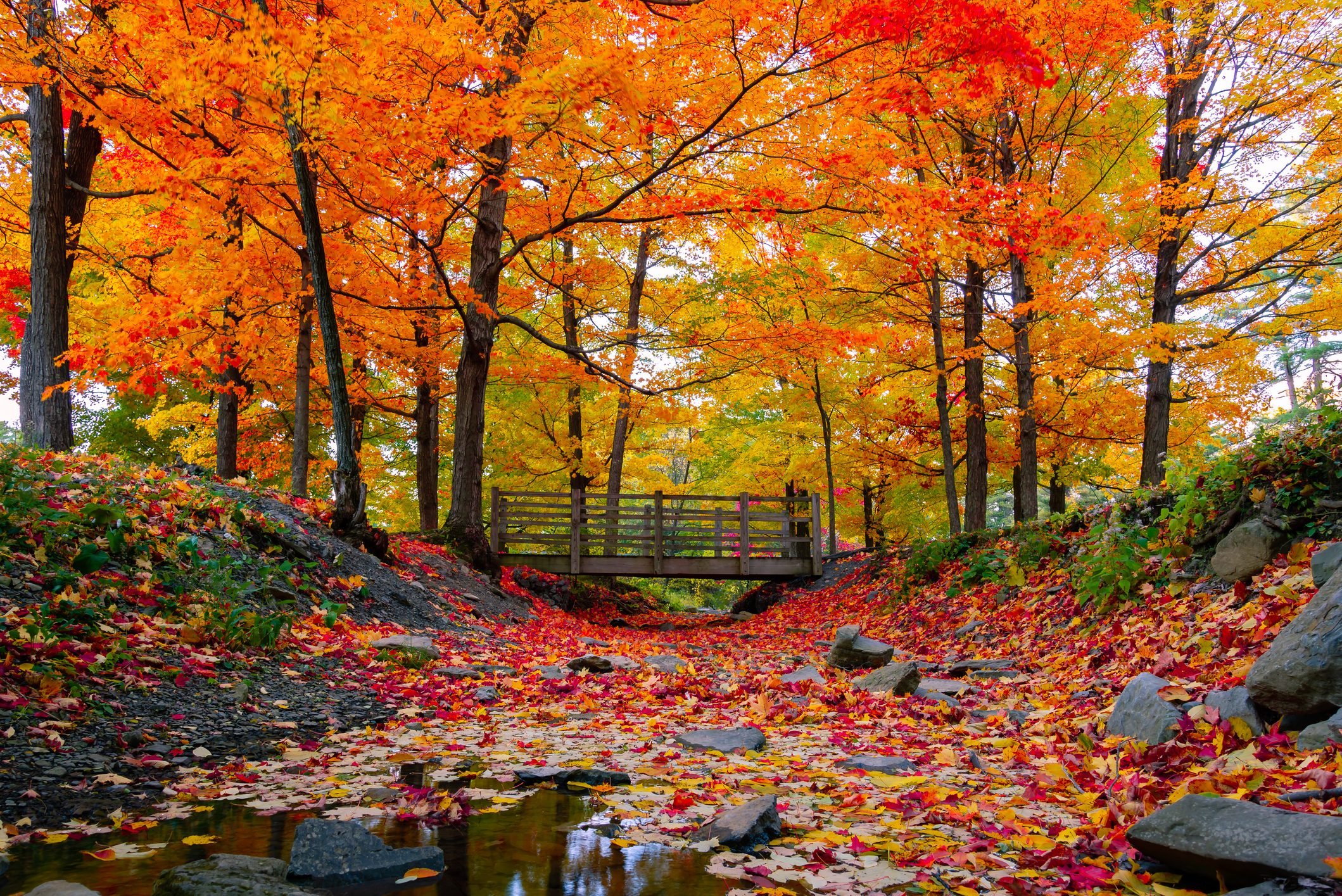 First Day of Fall Fun Facts About the Fall Equinox Reader's Digest