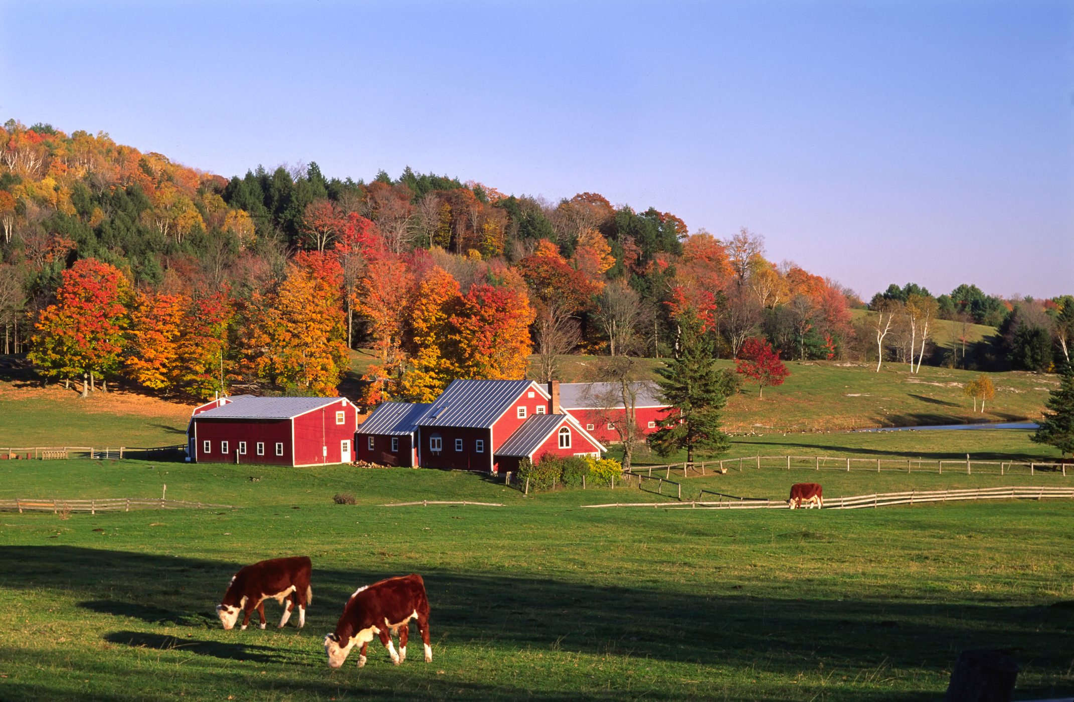 Farm near Thetford, Vermont, USA