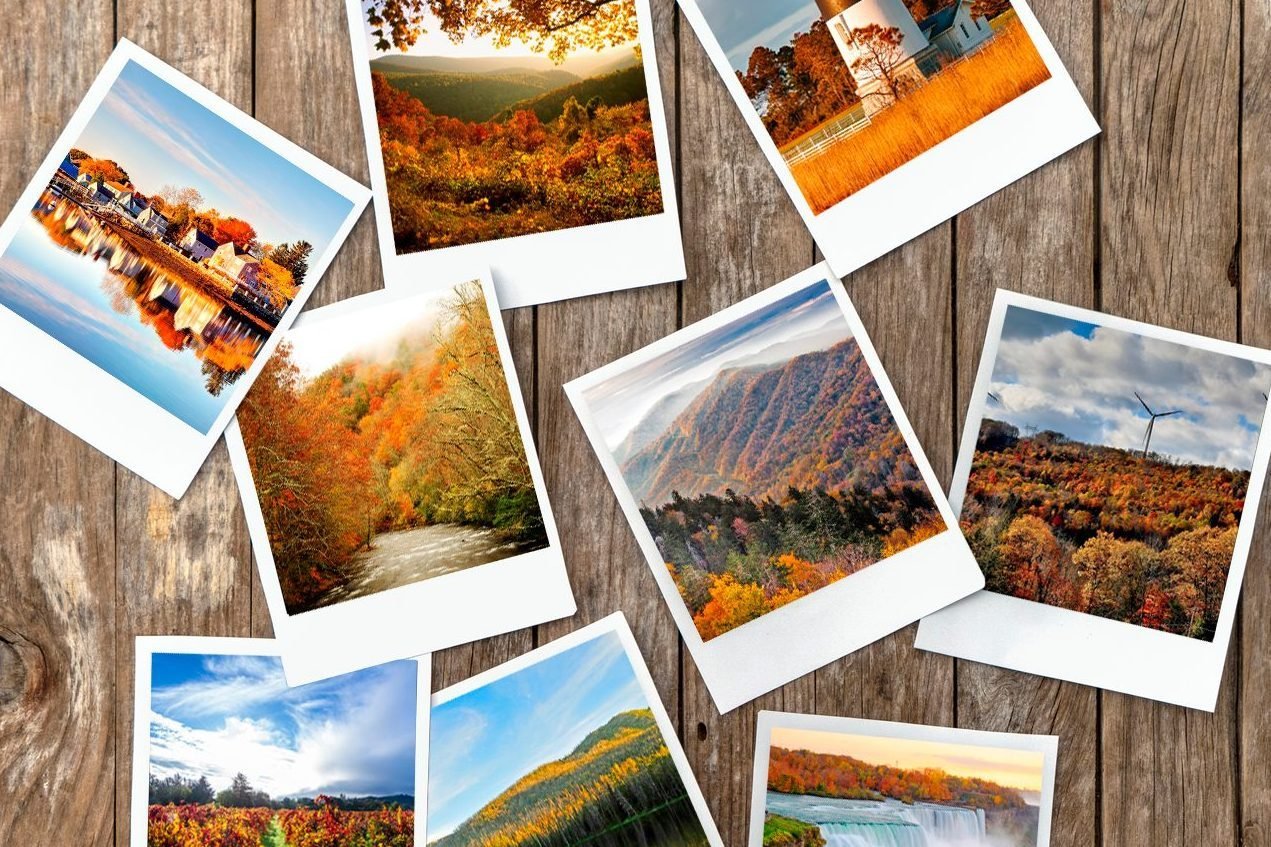 Fall Foliage photo collage