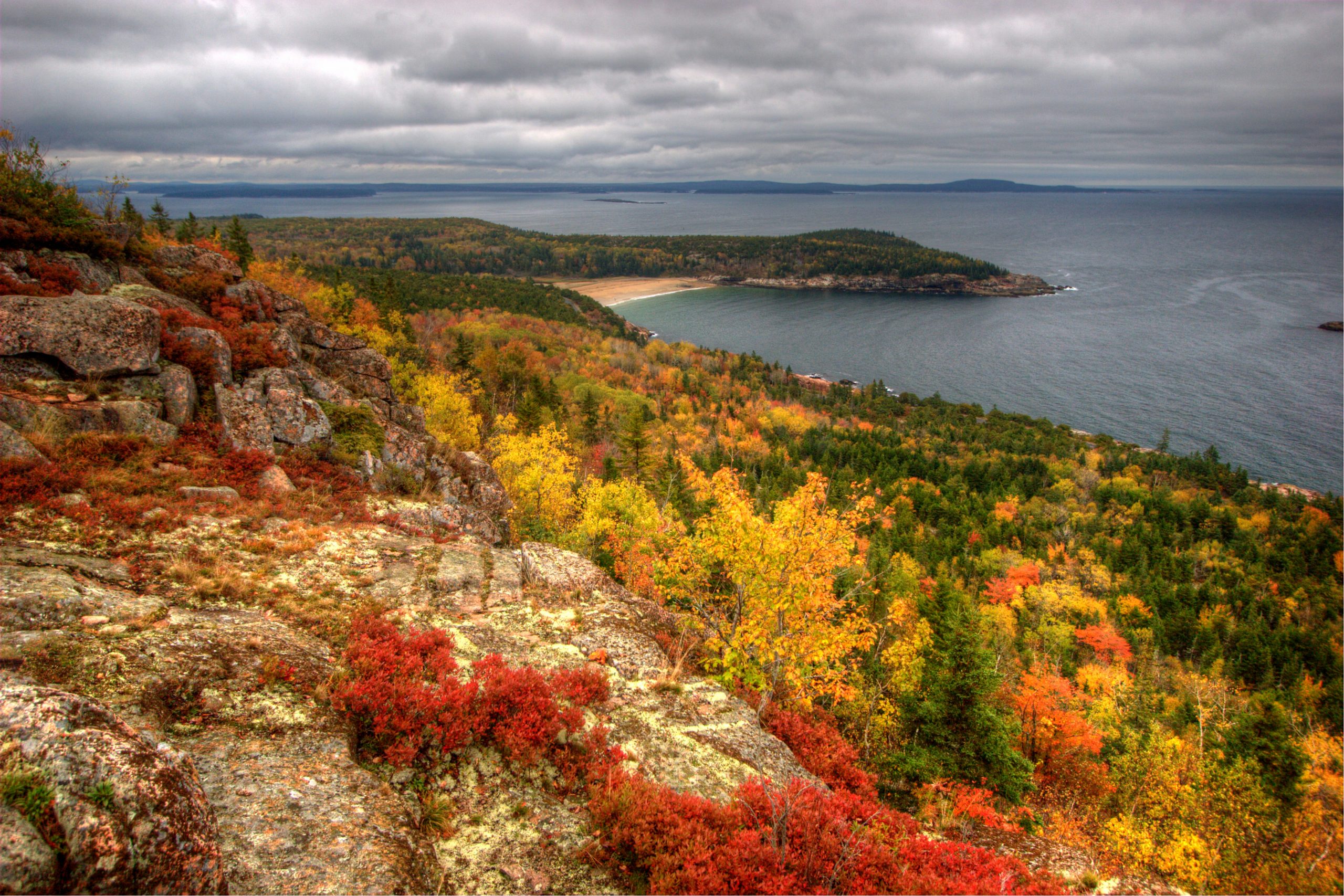 Acadian Autumn