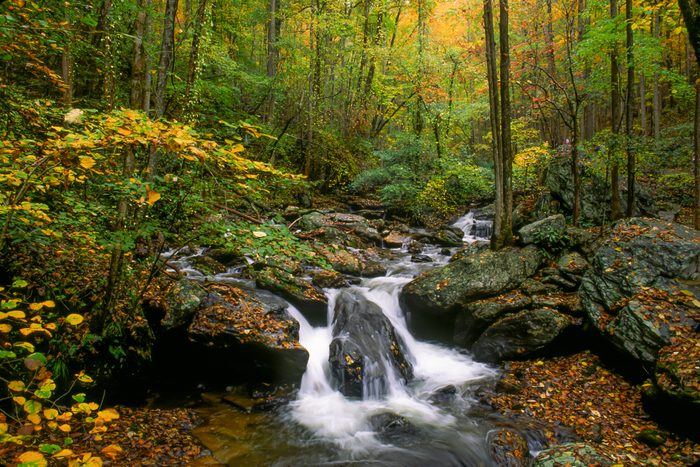Small stream and waterfall in North Georgia