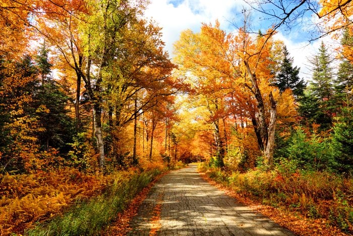 Autumn Road in New Hampshire