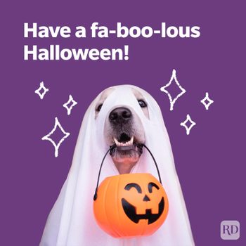 Dog Ghost Halloween Pun