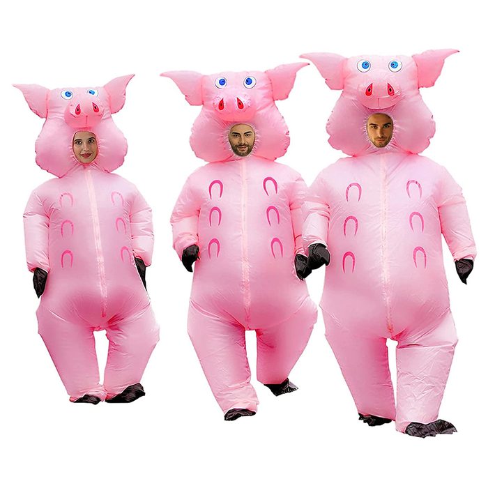 When Pigs Fly Halloween Costume