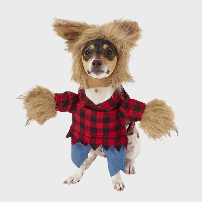 Werewolf dog costume