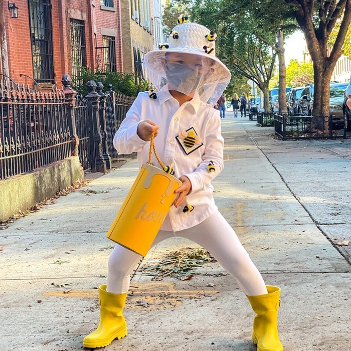 Diy Beekeeper Halloween Costume