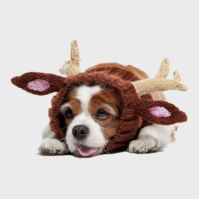 Reindeer dog costume