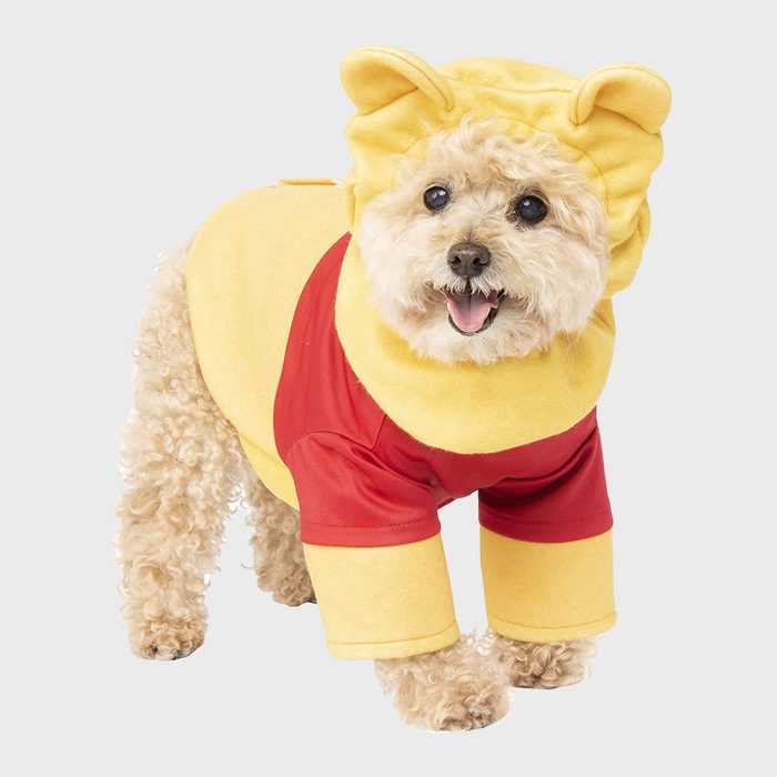 Winnie the Pooh dog costume