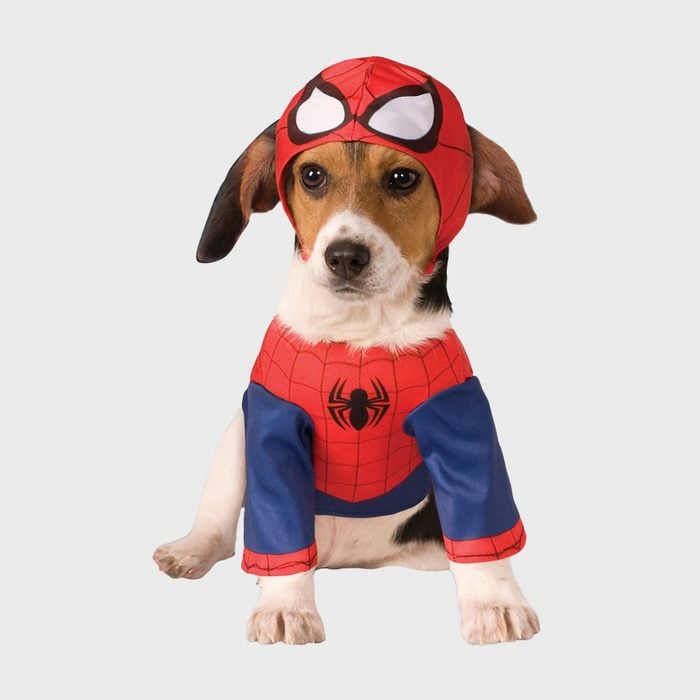 Spider-Man dog costume