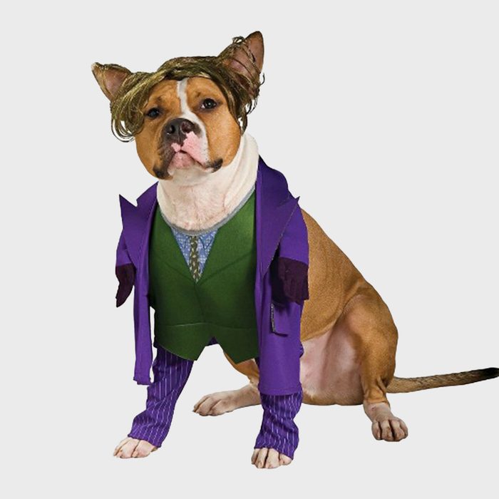Joker dog costume