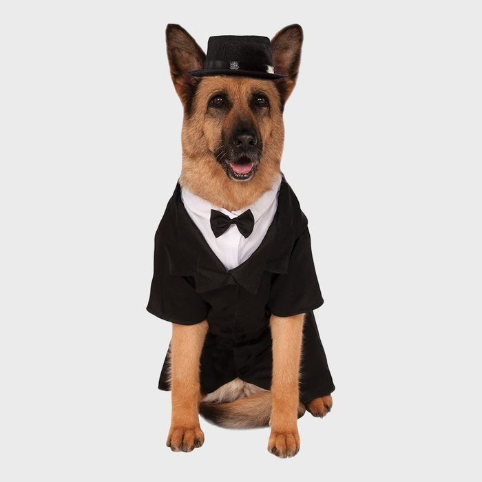 Dapper dog costume