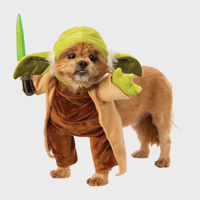 Yoda dog costume