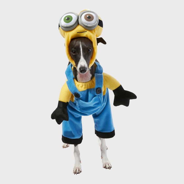 Minion dog costume