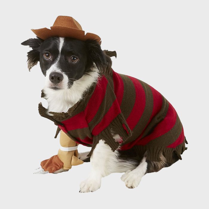 Freddy Krueger dog costume