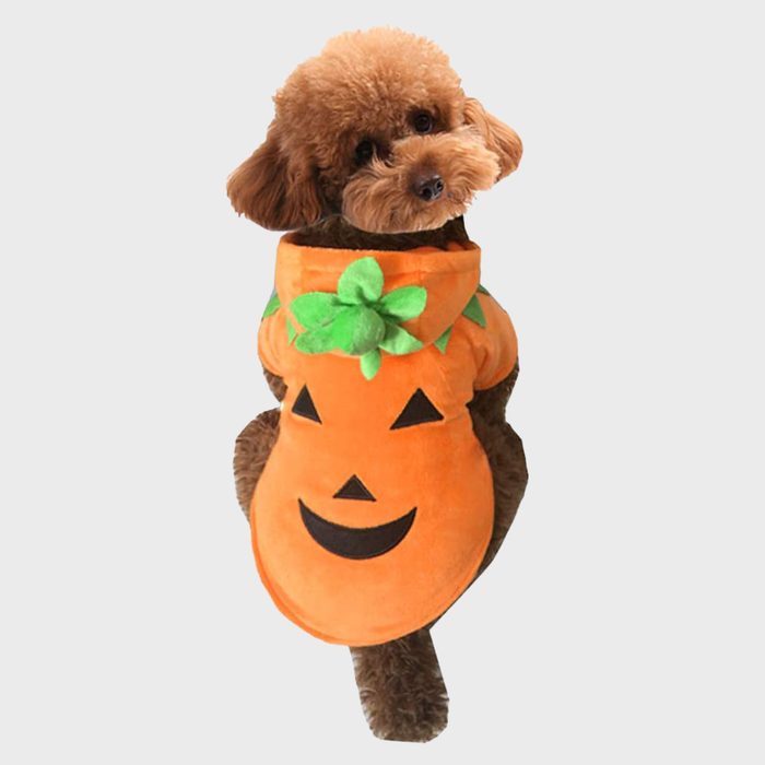 Pumpkin dog costume