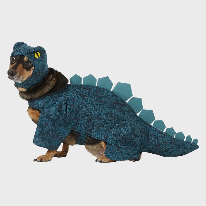 Dino dog costume