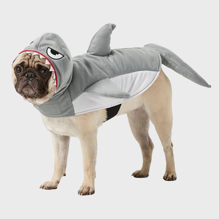Shark dog costume