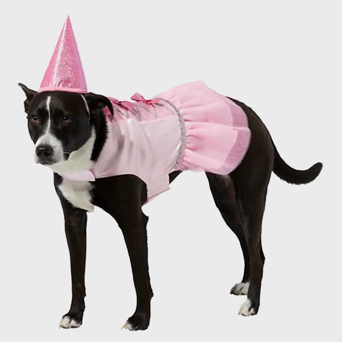 Princess dog costume