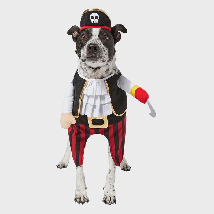 Pirate dog costume