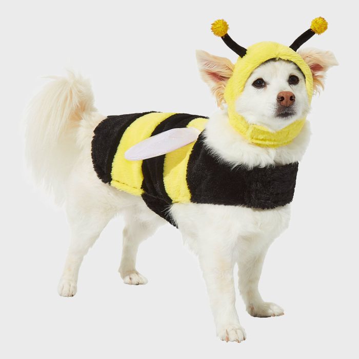 Bumble bee dog costume