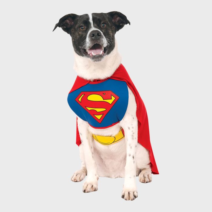 Super-Dog costume