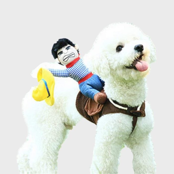 Cowboy rider dog costume
