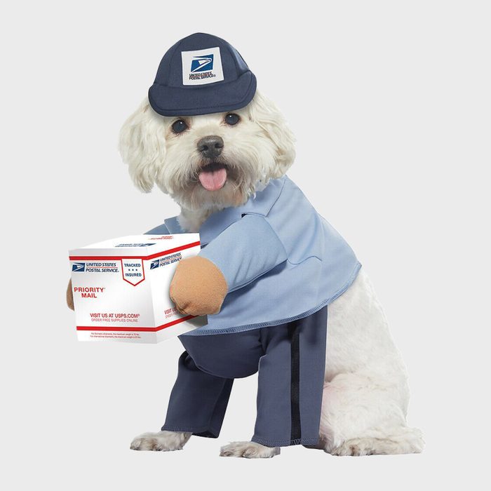 Delivery dog costume