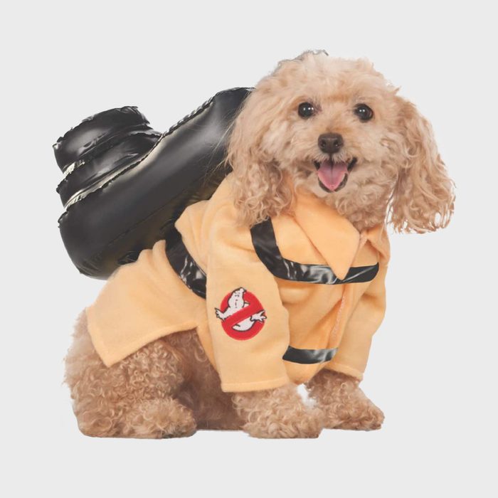 Ghostbusters dog costume