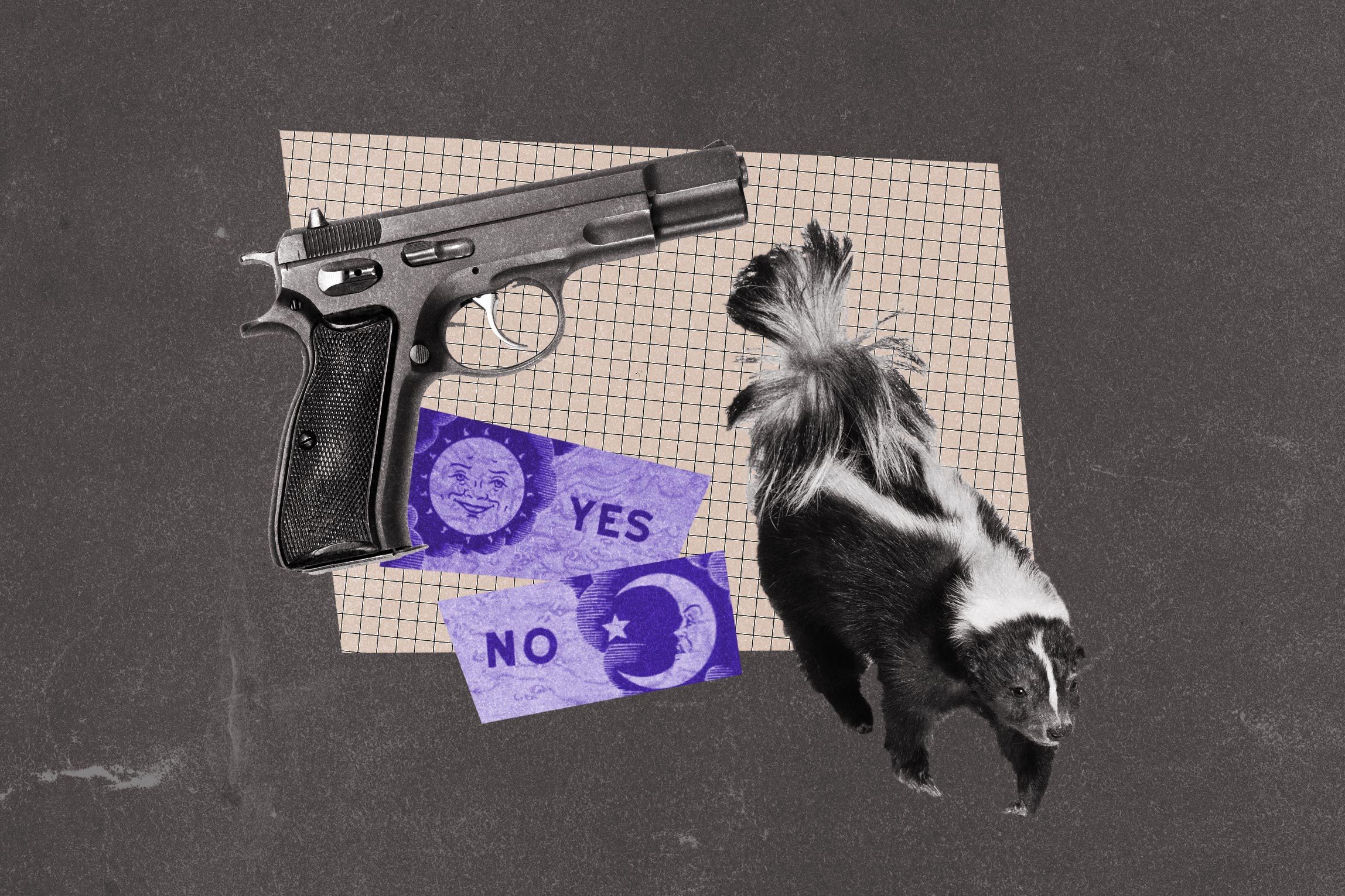 Collage of skunk, gun, and ouija board.