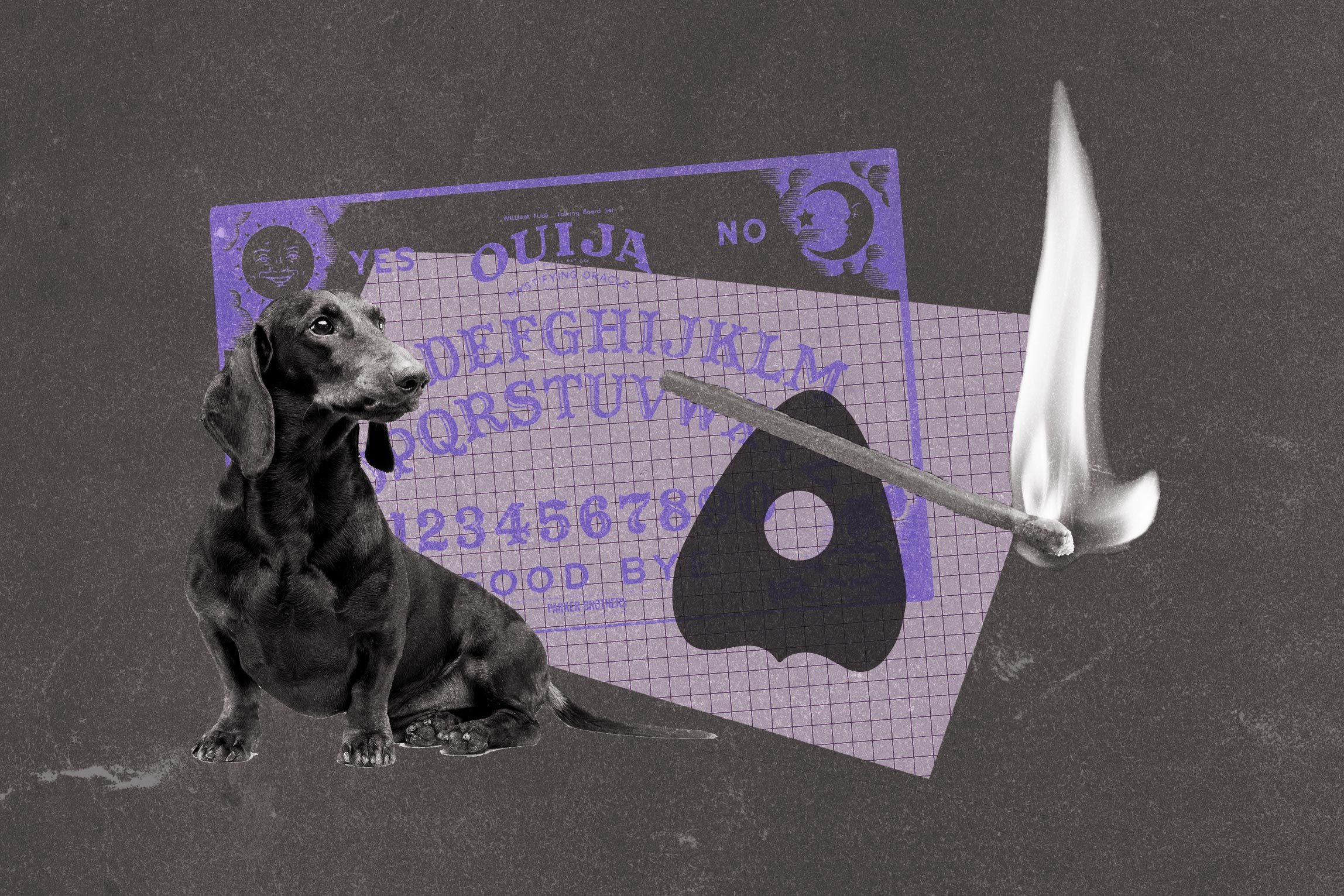 Collage of dog, ouija board, and fire
