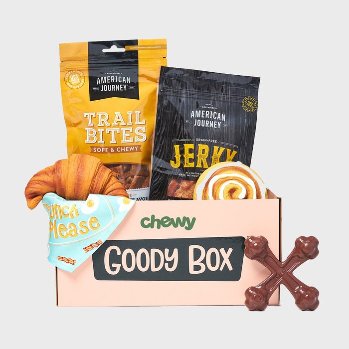 15 Chewy Goody Box Brunch Toys, Treats, And Bandana For Small Dogs Via Chewy