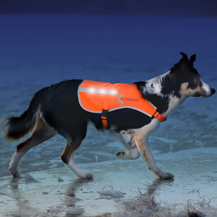 29 Illumiseen Led Dog Vest Via Amazon
