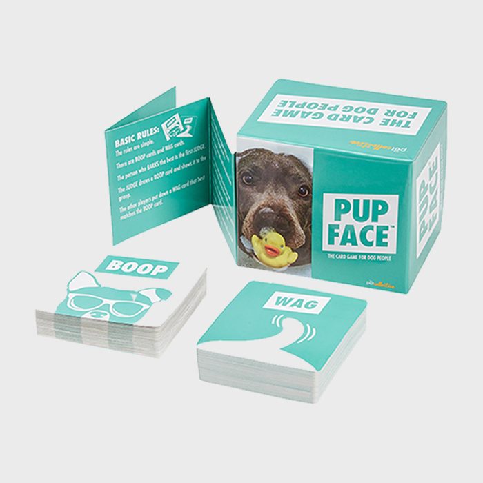 40 Pet Collective Pup Face Via Thepetcollective.png