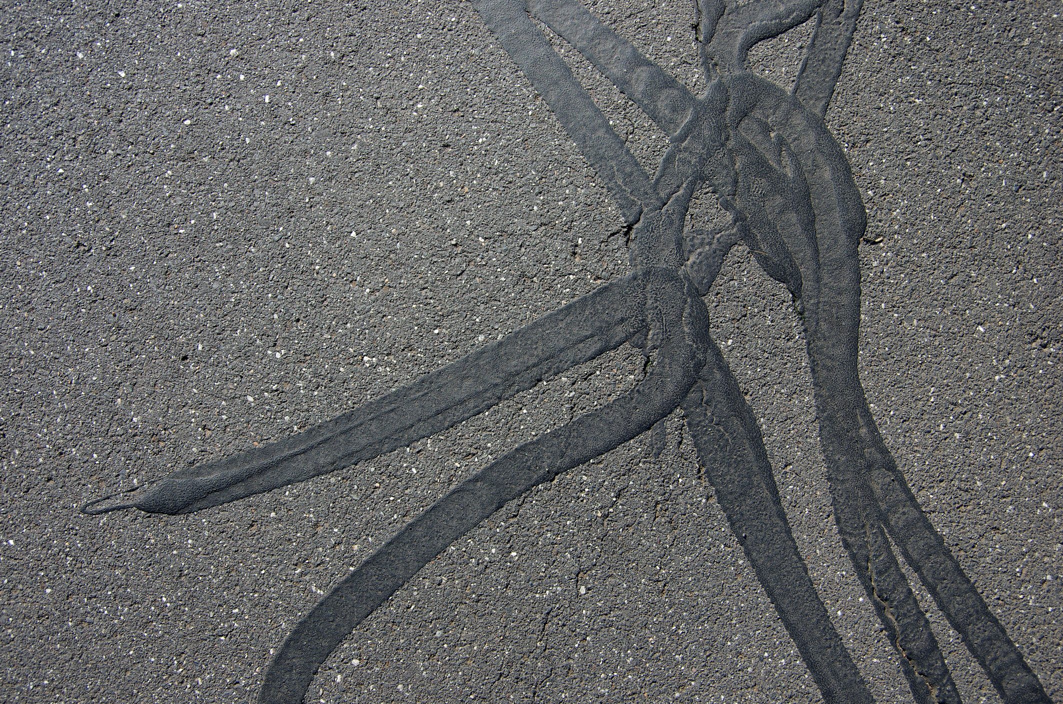Asphalt footpath where cracks have been repaired with liquid bitumen