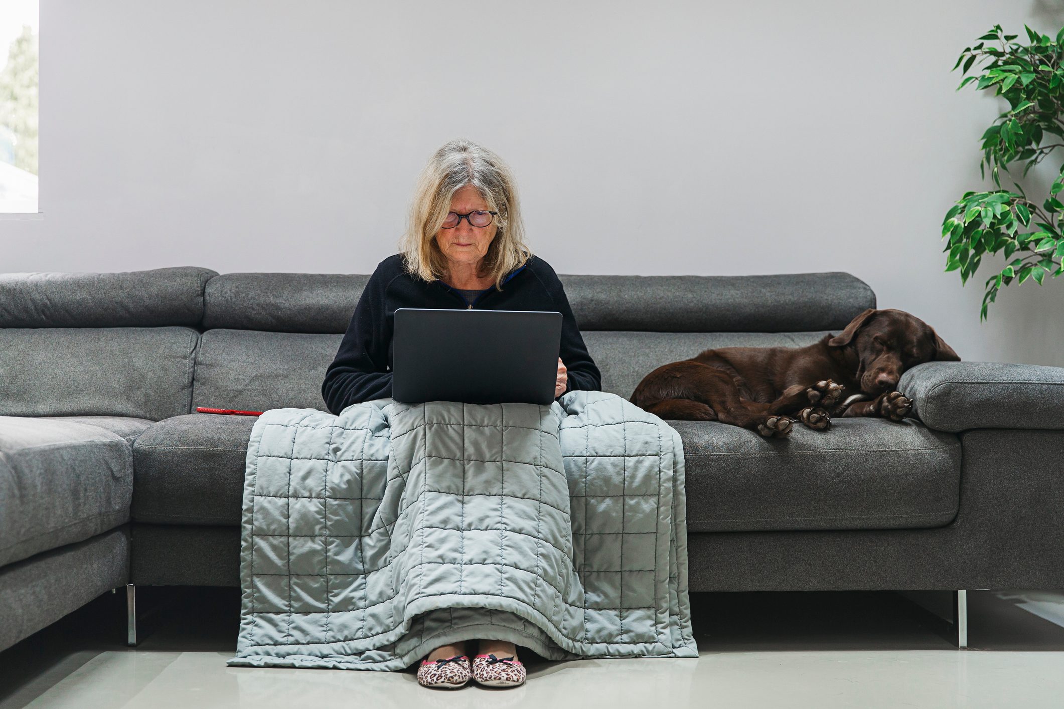 Senior lady using laptop on the sofa. Her pet dog is next to her