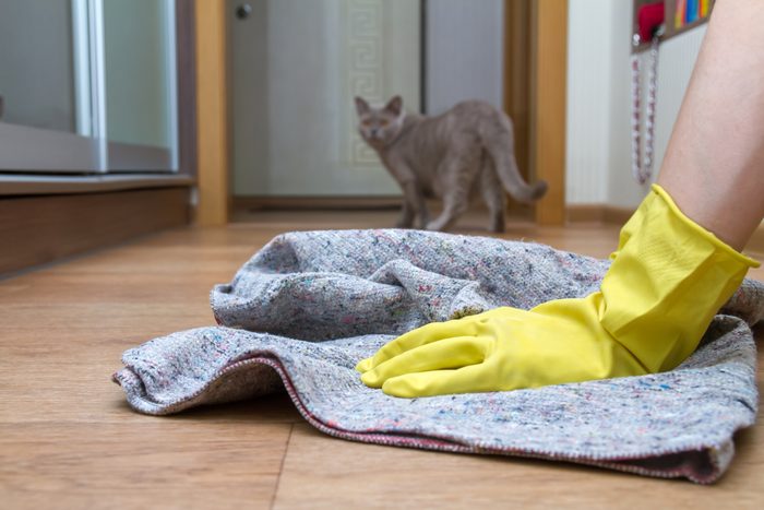 Girl in rubber gloves washes the floor at home with a rag. Concept of housework and housekeeping. Cat in the background